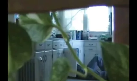 欧洲性感的金发小鸡获取黑迪克，暨猫