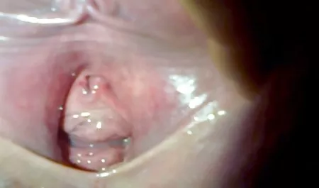 害羞的宝贝渴望肥胖的阴茎